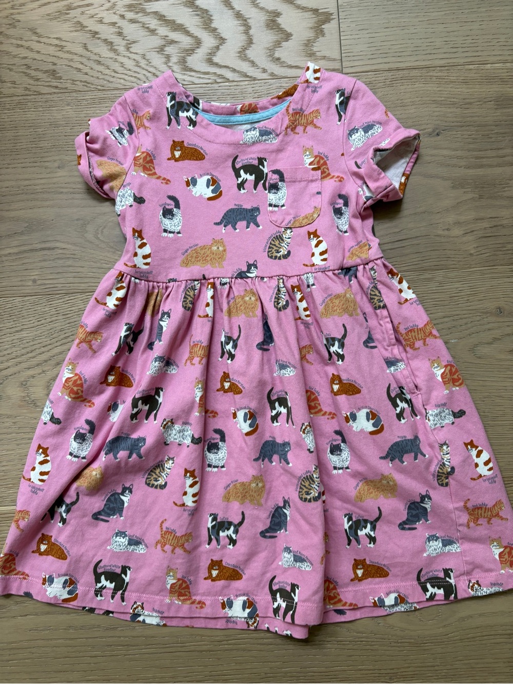 Min boden cat dress 5/6